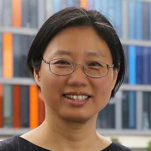 Prof. Hong Cheng